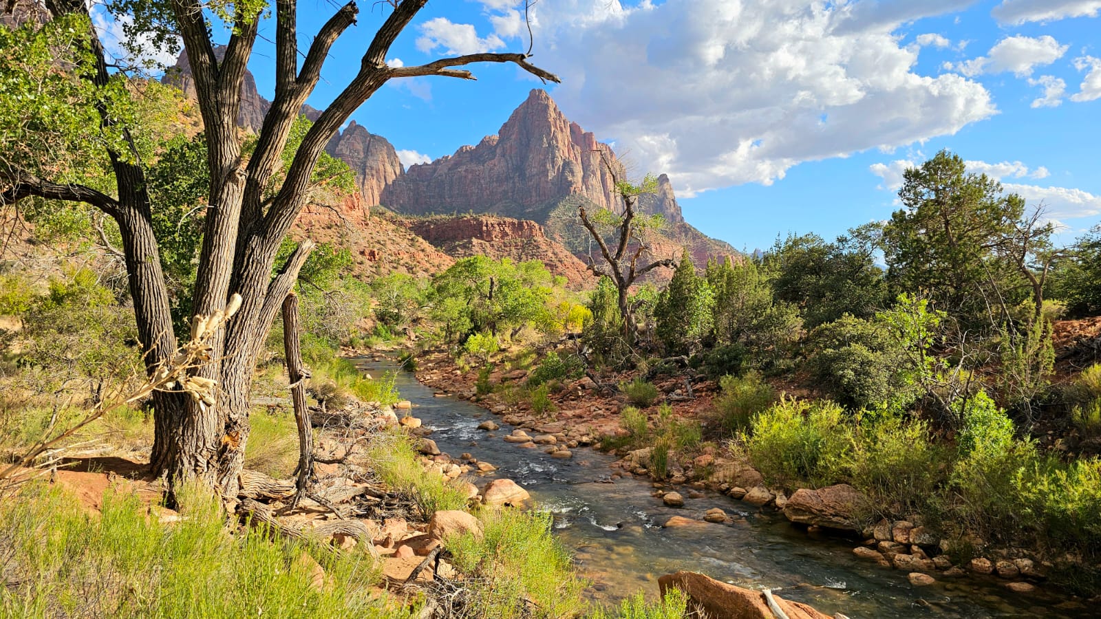 parc de zion