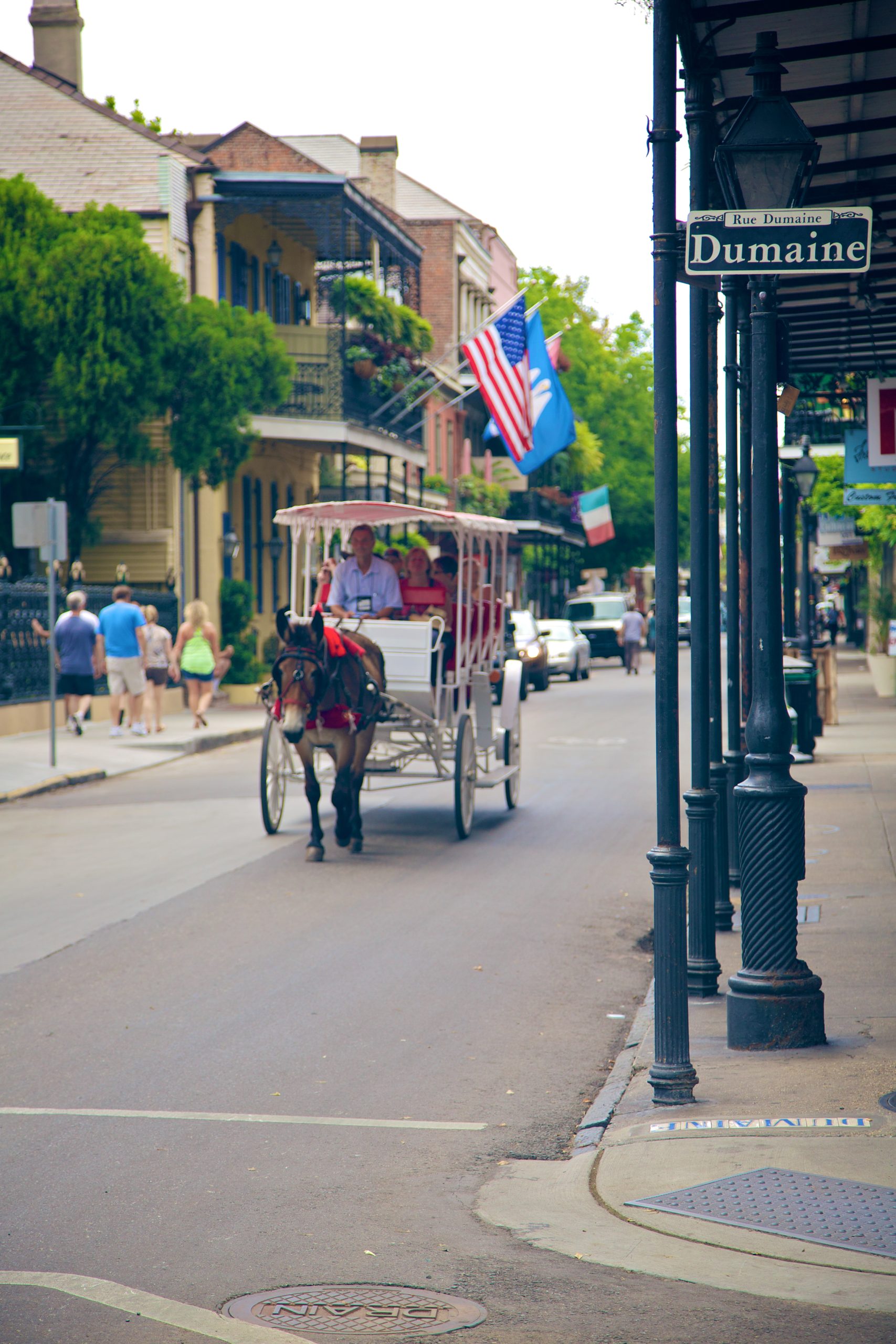 Louisiana-New-Orleans-General-NOLAselectionArnaud-16